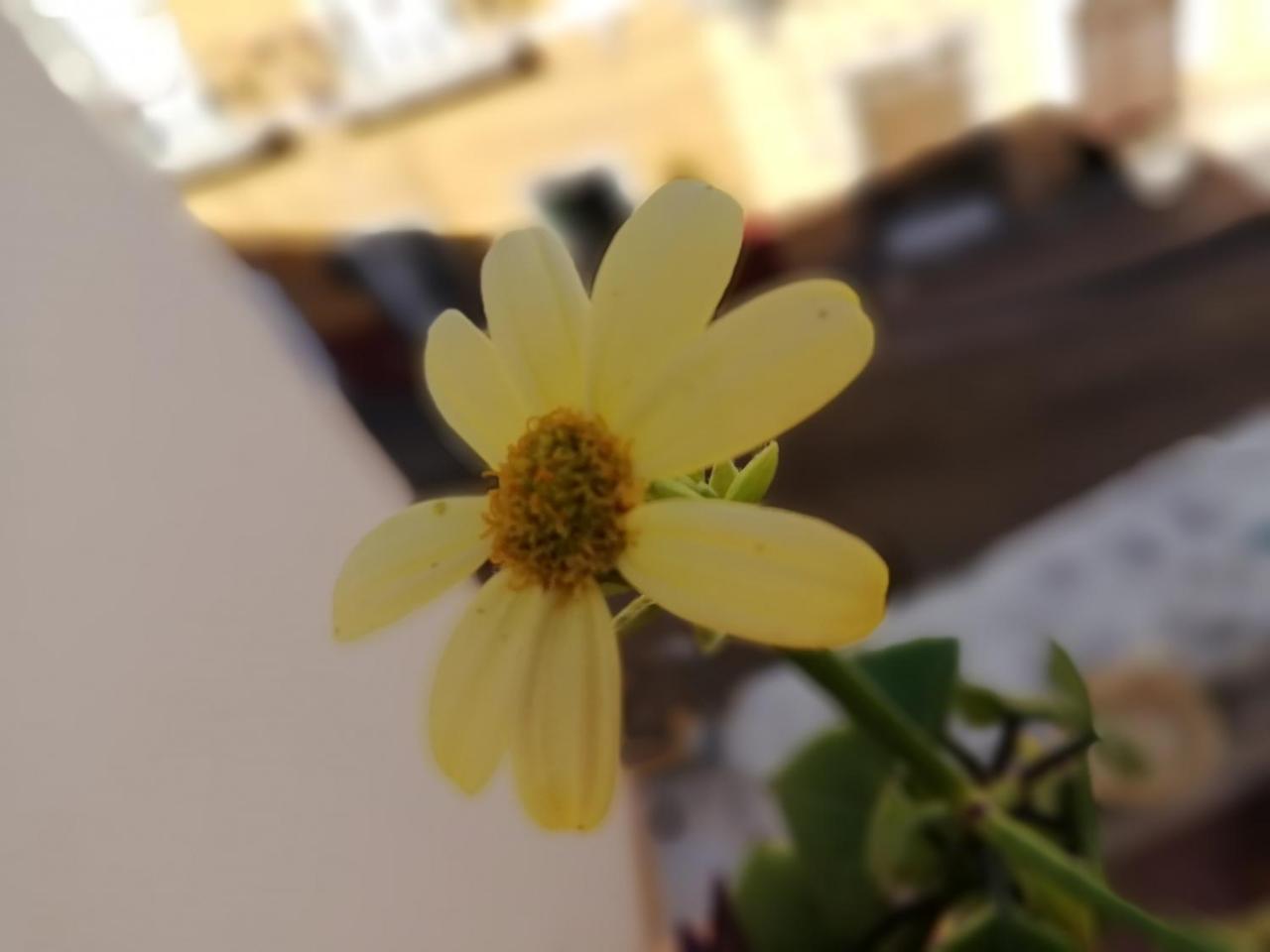 Casa Cantares 과나후아토 외부 사진